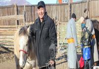 Малын их эмч Батхүү: Хэн дуртай нь ямар ч үндэслэлгүй адуу хатгаад байгааг харахаар бухимдал төрдөг